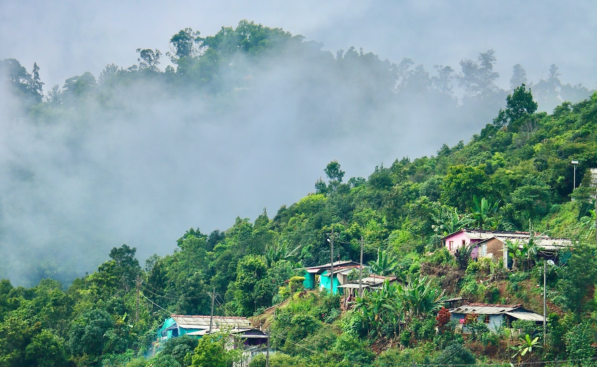 Latest and Breaking News on NDTV Latest and Breaking News on NDTV