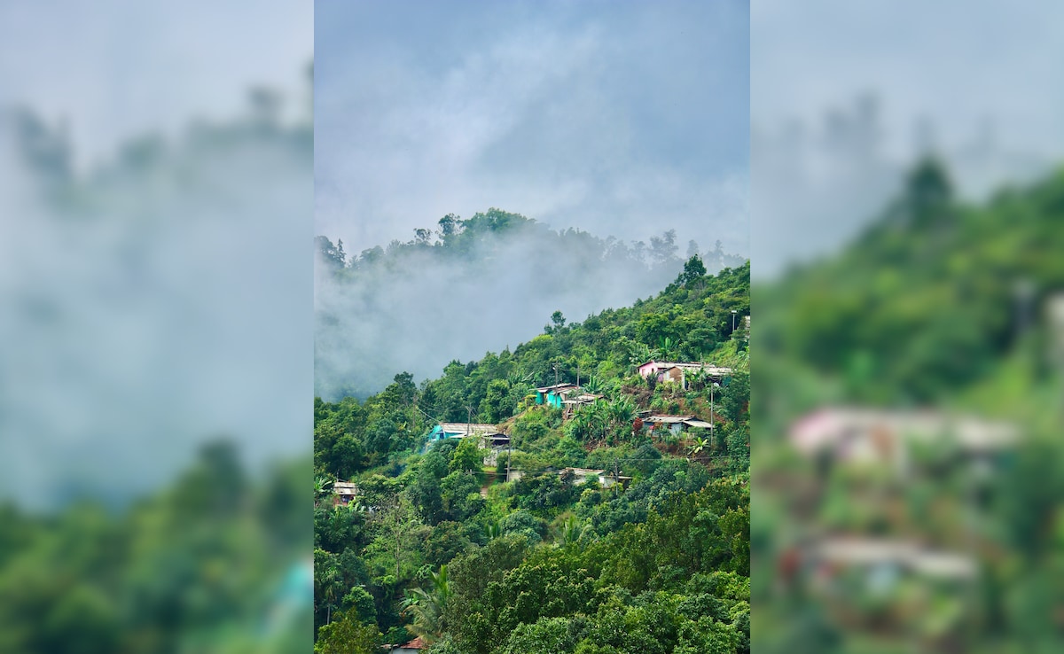 Latest and Breaking News on NDTV