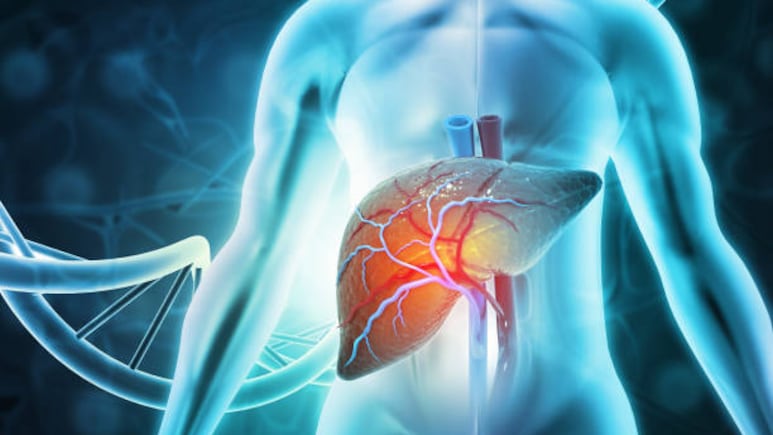 The 4 Stages Of Liver Disease Explained
