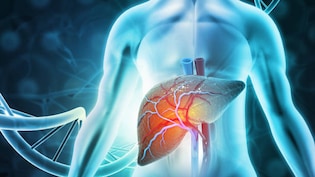 Healthy Liver Foods: लिवर को ठीक करने के लिए क्या खाना चाहिए? डॉक्टर से जानिए कौन से हैं लिवर के लिए बेस्ट फूड्स