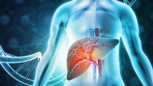 Health Decoder: How To Understand Liver Function Test (LFT) Reports Easily