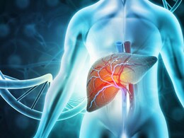 Health Decoder: How To Understand Liver Function Test (LFT) Reports Easily Health Decoder: How To Understand Liver Function Test (LFT) Reports Easily