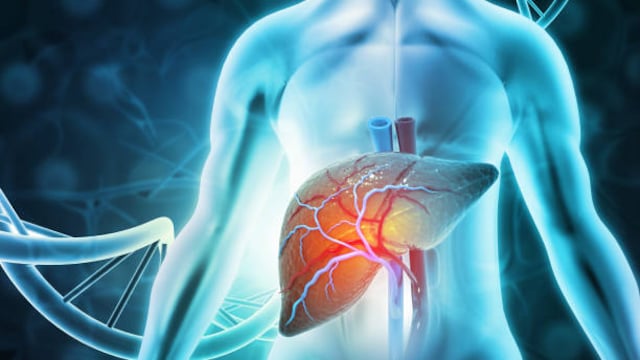 Lifestyle Habits That Are Damaging Your Liver