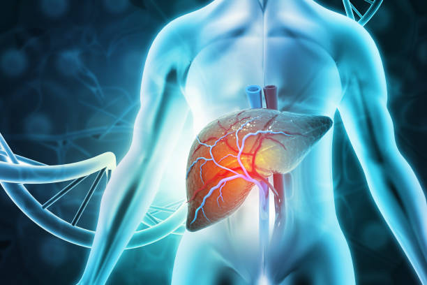 Cirrhosis indicates serious liver damage