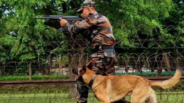 इंडियन आर्मी में कैसे भर्ती होते हैं कुत्ते, जानें कितनी मिलती है सैलरी और कब होते हैं रिटायर