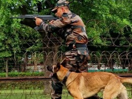 इंडियन आर्मी में कैसे भर्ती होते हैं कुत्ते, जानें कितनी मिलती है सैलरी और कब होते हैं रिटायर इंडियन आर्मी में कैसे भर्ती होते हैं कुत्ते, जानें कितनी मिलती है सैलरी और कब होते हैं रिटायर