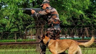 जम्मू कश्मीर के उधमपुर में मुठभेड़, CRPF-पुलिस और सेना आतंकवादियों को घेरा