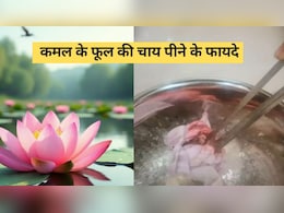 कमल के फूल की चाय शरीर से निचोड़ कर बाहर निकाल देगी ये रोग, जान लें इसे बनाने का तरीका कमल के फूल की चाय शरीर से निचोड़ कर बाहर निकाल देगी ये रोग, जान लें इसे बनाने का तरीका