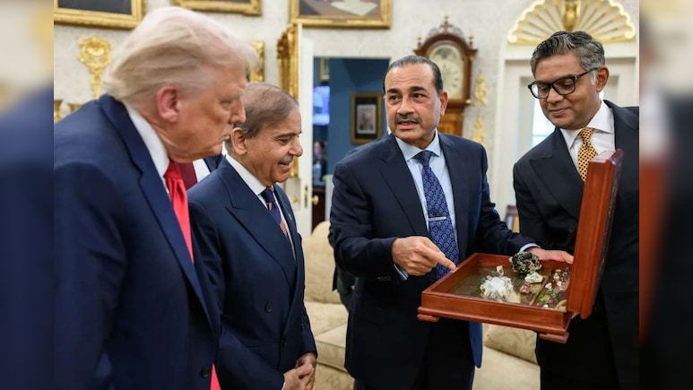Pak Ships 1st Consignment Of Rare Earth Minerals To US: Report