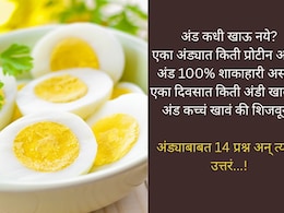 अंड 100% शाकाहारी असतं? अंड कधी खाऊ नये, एका अंड्यात किती प्रोटीन असतं, 14 प्रश्न आणि त्यांची उत्तरं!