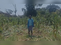 Rain in Chhattisgarh: जशपुर के छतासराई गांव में आंधी-तूफान और ओलावृष्टि, फसलें चौपट Rain in Chhattisgarh: जशपुर के छतासराई गांव में आंधी-तूफान और ओलावृष्टि, फसलें चौपट