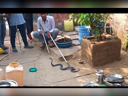 Snake In Kitchen : रसोई में निकला 5 फीट लंबा जहरीला सांप, देख परिवार में मचा हड़कंप Snake In Kitchen : रसोई में निकला 5 फीट लंबा जहरीला सांप, देख परिवार में मचा हड़कंप