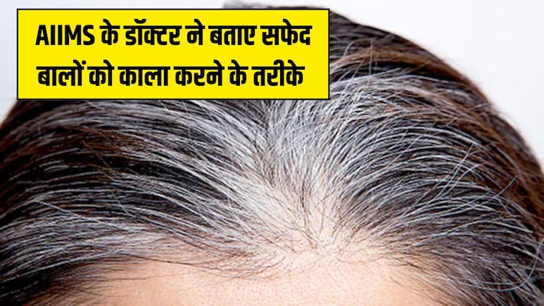 AIIMS के डॉक्टर ने बताए सफेद बालों को काला करने के 4 सबसे असरदार तरीके, जड़ से काला हो जाएगा एक-एक White Hair AIIMS के डॉक्टर ने बताए सफेद बालों को काला करने के 4 सबसे असरदार तरीके, जड़ से काला हो जाएगा एक-एक White Hair