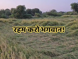 MP Weather: मध्य प्रदेश में अभी अन्नदाताओं को और रुलाएगी की बारिश, फिर सक्रिय हुआ चार सिस्टम MP Weather: मध्य प्रदेश में अभी अन्नदाताओं को और रुलाएगी की बारिश, फिर सक्रिय हुआ चार सिस्टम