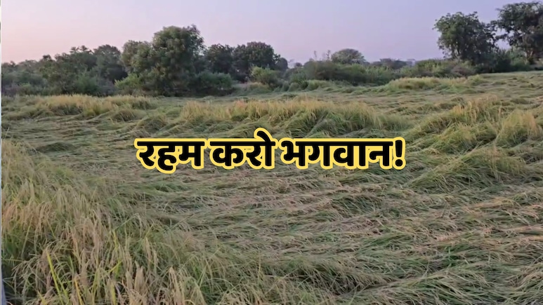 MP Weather: मध्य प्रदेश में अभी अन्नदाताओं को और रुलाएगी की बारिश, फिर सक्रिय हुआ चार सिस्टम MP Weather: मध्य प्रदेश में अभी अन्नदाताओं को और रुलाएगी की बारिश, फिर सक्रिय हुआ चार सिस्टम