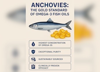 Anchovies: The Purest And Most Potent Source of Omega-3 Fatty Acids