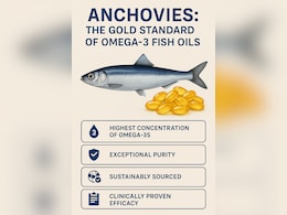 Anchovies: The Purest And Most Potent Source of Omega-3 Fatty Acids Anchovies: The Purest And Most Potent Source of Omega-3 Fatty Acids