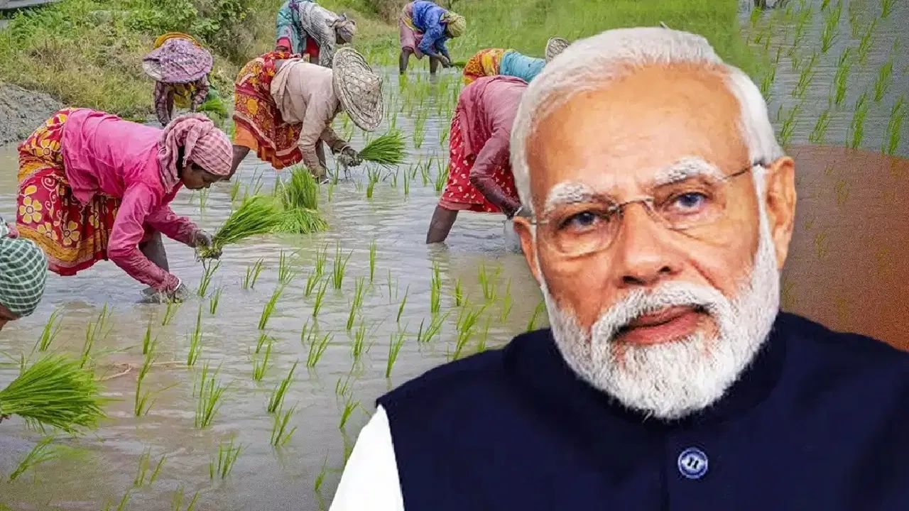 पीएम मोदी देंगे किसानों को सौगात, 'पीएम धन-धान्य योजना' और 'दलहन आत्मनिर्भरता मिशन' की होगी शुरुआत