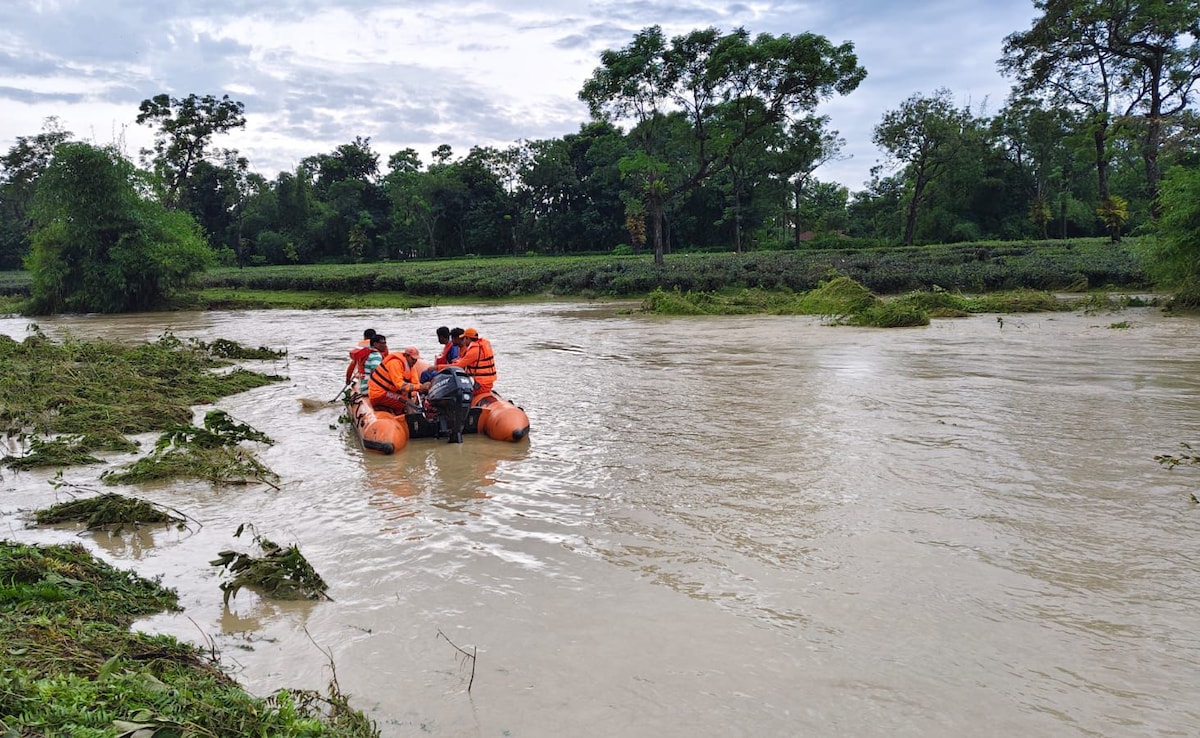 Monsoon 2025: Climate Change Fuels Extreme Rainfall Across Nearly Half Of India