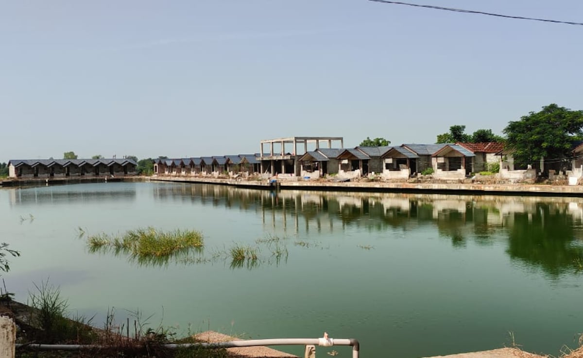 Mehras farmhouse has a private pond with fish farming facilities. Mehras farmhouse has a private pond with fish farming facilities.