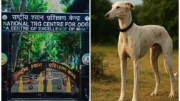 K9 डॉग स्क्वॉड की कहानी... PM मोदी का प्रोत्&zwj;साहन और BSF की ऐतिहासिक पहल