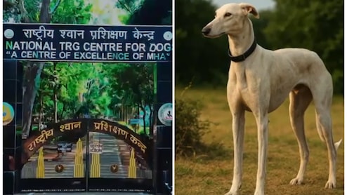 K9 डॉग स्क्वॉड की कहानी... PM मोदी का प्रोत्‍साहन और BSF की ऐतिहासिक पहल