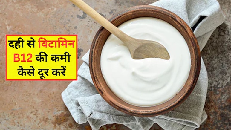 शरीर में बढ़ाना है Vitamin B12? दही में मिलाकर खा लें ये 4 चीजें, नहीं लेनी पड़ेगी कोई दवा शरीर में बढ़ाना है Vitamin B12? दही में मिलाकर खा लें ये 4 चीजें, नहीं लेनी पड़ेगी कोई दवा