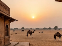 Rajasthan Weather: दिवाली से पहले राजस्थान के 15 जिलों में बढ़ी ठिठुरन, जानें अगले पूरे हफ्ते कैसा रहेगा आपके शहर का मौसम Rajasthan Weather: दिवाली से पहले राजस्थान के 15 जिलों में बढ़ी ठिठुरन, जानें अगले पूरे हफ्ते कैसा रहेगा आपके शहर का मौसम