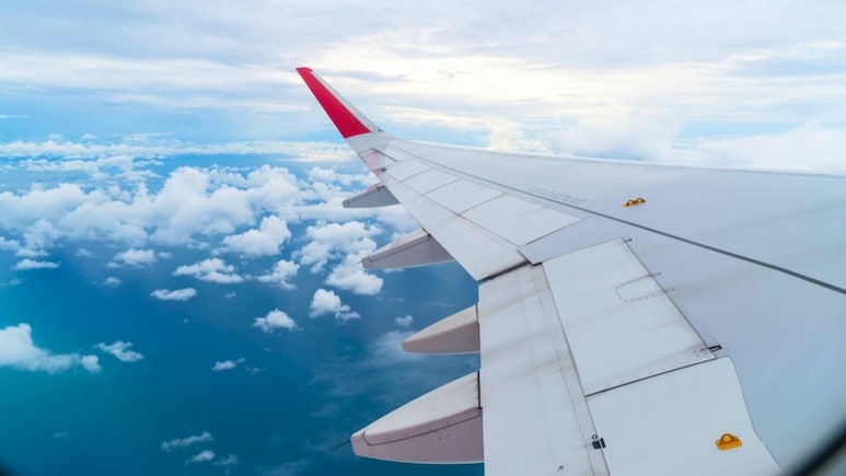 Why Do Aircraft Wings Bend And Flex Mid-Flight? 5 Interesting Reasons Why Do Aircraft Wings Bend And Flex Mid-Flight? 5 Interesting Reasons