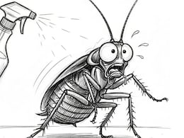 How To Kill Cockroaches At Home: फक्त 10 रुपये खर्च आणि झुरळं होतील गायब, हा छोटासा पांढरा तुकडा करेल कमाल How To Kill Cockroaches At Home: फक्त 10 रुपये खर्च आणि झुरळं होतील गायब, हा छोटासा पांढरा तुकडा करेल कमाल