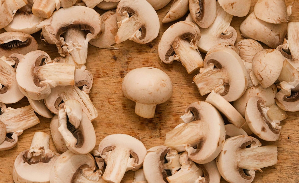 Latest and Breaking News on NDTV Latest and Breaking News on NDTV