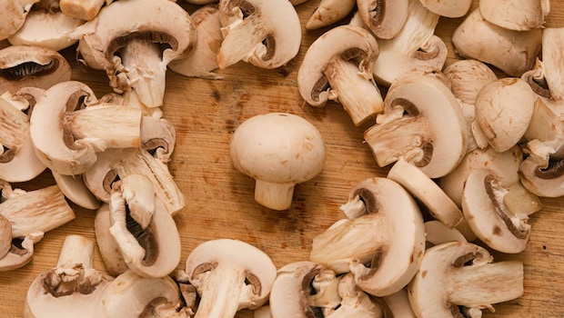 Latest and Breaking News on NDTV Latest and Breaking News on NDTV