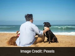 Chinese Man Devotes Life To Therapy Dogs Helping Autistic Kids