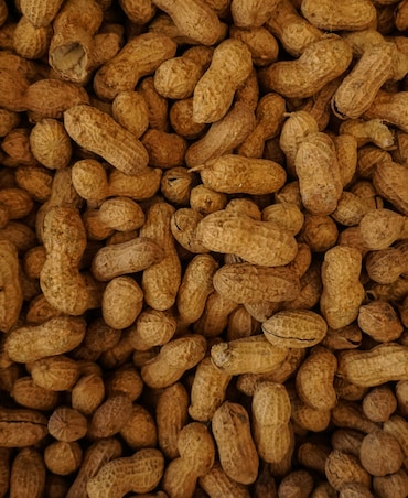 7 Health Benefits Of Peanuts