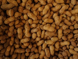 मूंगफली किसे नहीं खाना चाहिए, रोज मूंगफली खाने से क्या होता है