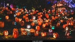 Halloween 2025: Wishes, Spooky Quotes & Fun Messages To Celebrate October 31st
