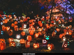 Halloween 2025: Wishes, Spooky Quotes & Fun Messages To Celebrate October 31st Halloween 2025: Wishes, Spooky Quotes & Fun Messages To Celebrate October 31st