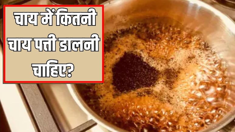 एक कप चाय में कितनी चाय पत्ती डालनी चाहिए? जानिए स्वाद और सेहत के लिए कितनी मात्रा है सही एक कप चाय में कितनी चाय पत्ती डालनी चाहिए? जानिए स्वाद और सेहत के लिए कितनी मात्रा है सही
