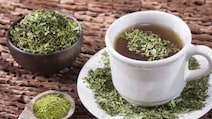 How Moringa Leaf Tea Can Help Regulate Blood Sugar Levels