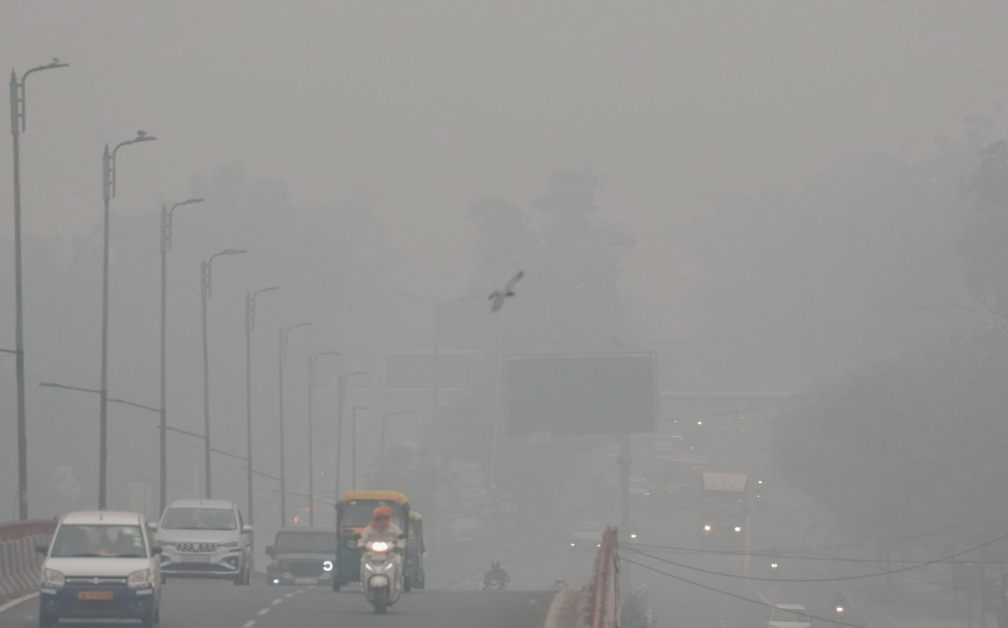 Latest and Breaking News on NDTV Latest and Breaking News on NDTV