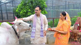 गोपाष्&zwj;टमी पर सीएम ने पत्&zwj;नी के साथ गायों की पूजा की, आरती उतारी और चना खिलाया