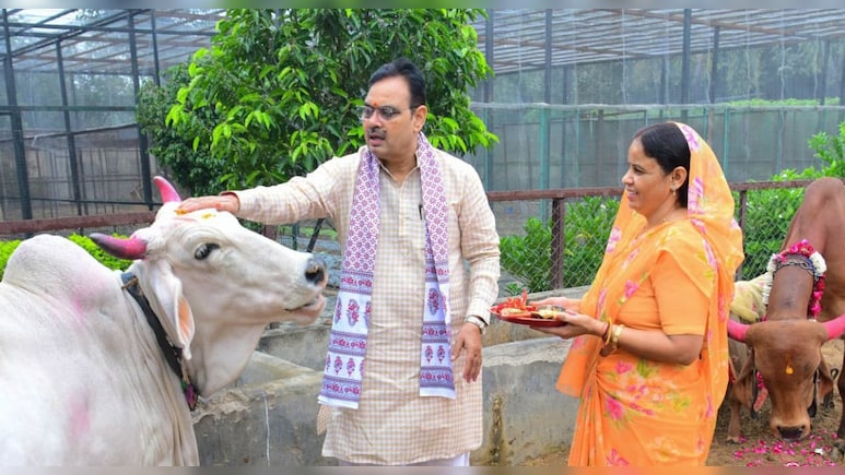 गोपाष्‍टमी पर सीएम ने पत्‍नी के साथ गायों की पूजा की, आरती उतारी और चना खिलाया