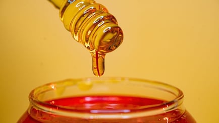 Ever Wondered How Honey Is Really Made? Is It Vegetarian Or Vegan