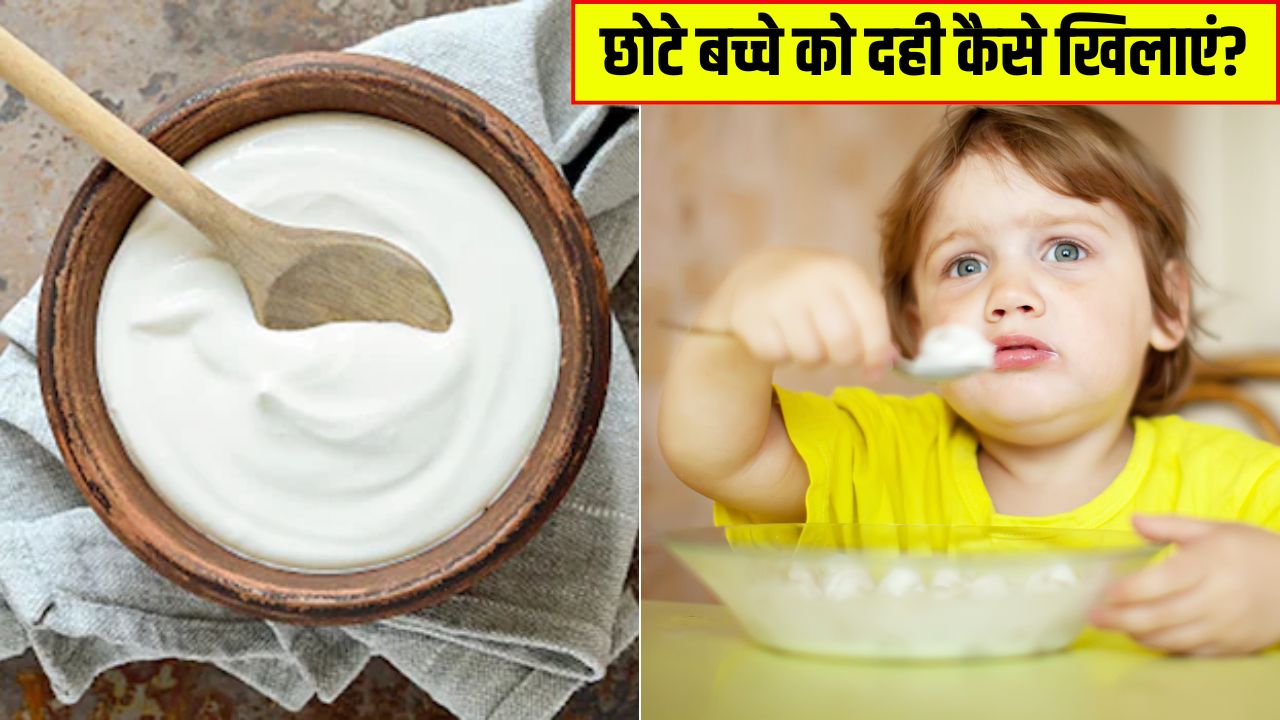 बच्चे को दही देने का सही समय क्या है? पीडियाट्रिशियन ने बताया एक दिन में कितना दही खिलाना चाहिए