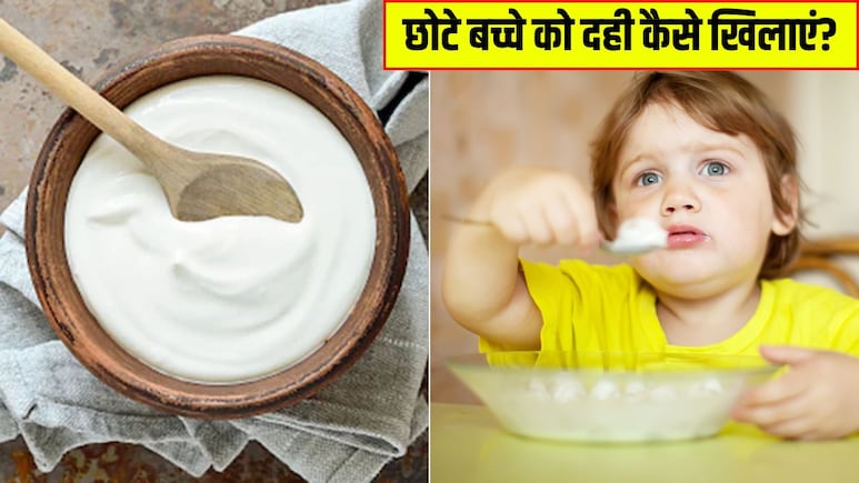 बच्चे को दही देने का सही समय क्या है? पीडियाट्रिशियन ने बताया एक दिन में कितना दही खिलाना चाहिए
