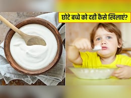 बच्चे को दही देने का सही समय क्या है? पीडियाट्रिशियन ने बताया एक दिन में कितना दही खिलाना चाहिए बच्चे को दही देने का सही समय क्या है? पीडियाट्रिशियन ने बताया एक दिन में कितना दही खिलाना चाहिए