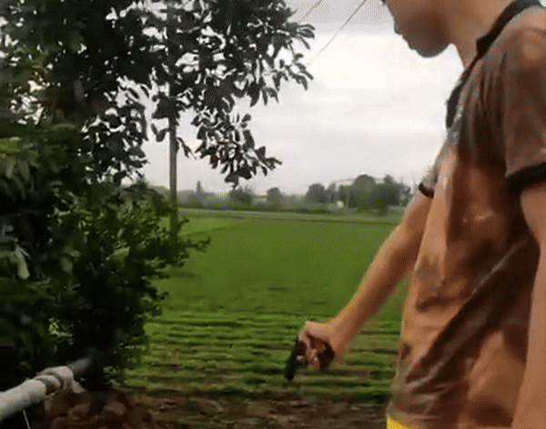 मेरठ में बेखौफ बदमाश, दोस्त की हत्या कर सीने में उतारीं 3 गोलियां, वीडियो बनाकर किया वायरल