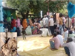 तीन टुकड़ों में कटा सांप, मरते-मरते युवती को दो बार डंसा, चंद मिनट में हो गई दर्दनाक मौत; जानें मामला तीन टुकड़ों में कटा सांप, मरते-मरते युवती को दो बार डंसा, चंद मिनट में हो गई दर्दनाक मौत; जानें मामला