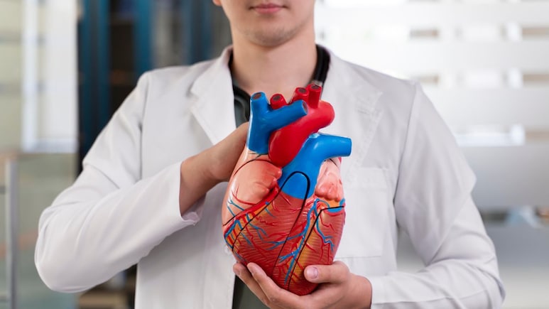 Worried About Your Heart's Health? Make These Diet And Lifestyle Changes Today