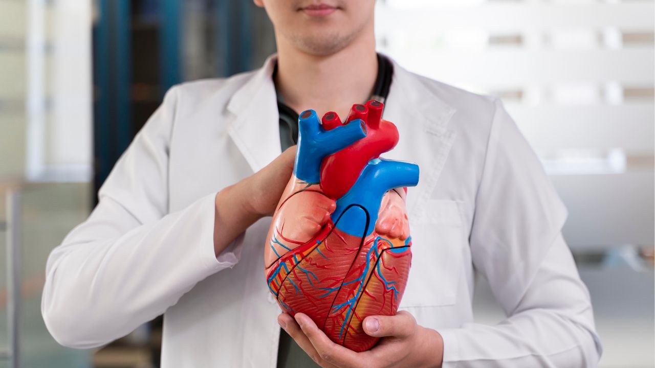 The Mediterranean and DASH diets remain the gold standards for heart health